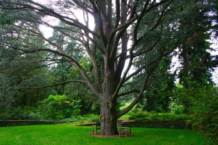 Thoughts: Journaling