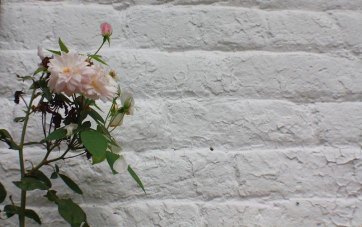 Regain focus, power, productivity by.... doing less?