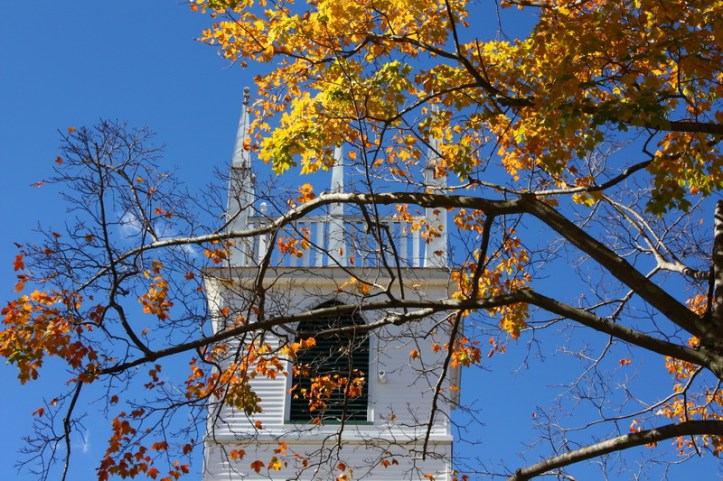 burr and burton 2_resize