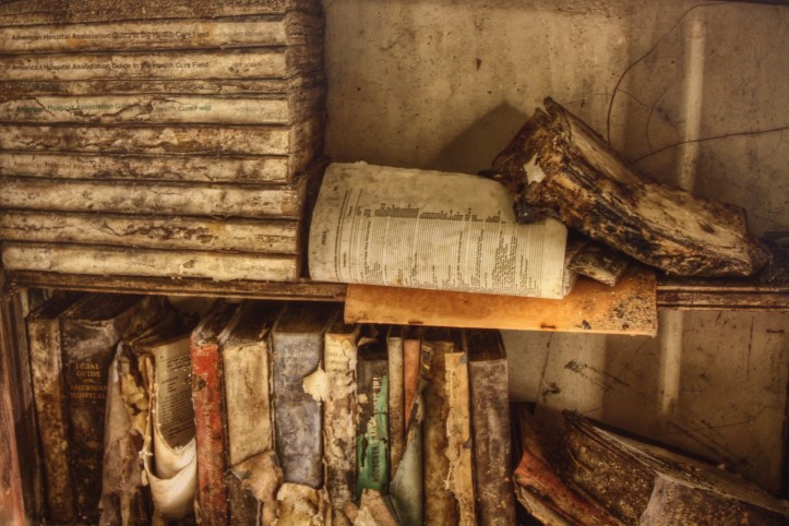 rotting books by ian creitz