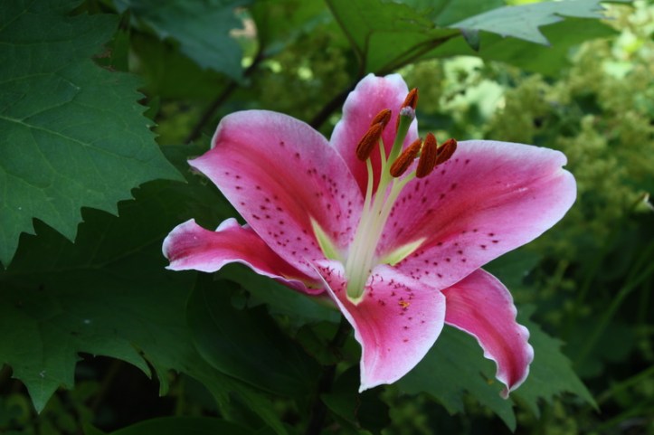 2013-07-29 00-55-34_resize