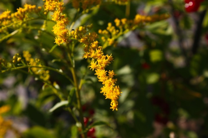 2013-07-26 07-15-03_resize