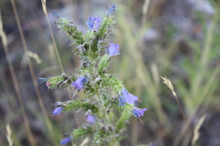 2013-07-26 07-24-01_resize