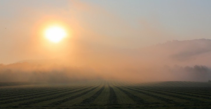 Morning fog_resize