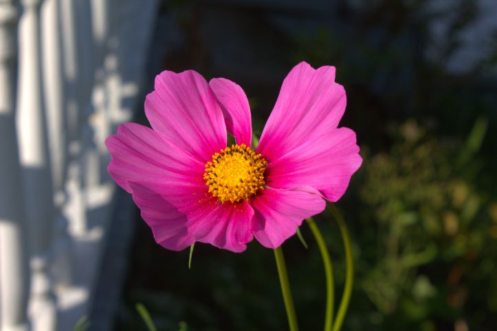 2013-08-29 04-55-30 (2) -1