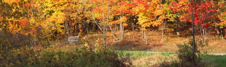 VT Autumn 2013 31_resize