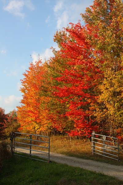 VT Autumn 2013 32_resize