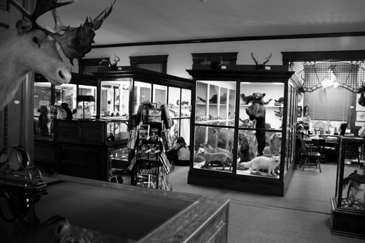 museum