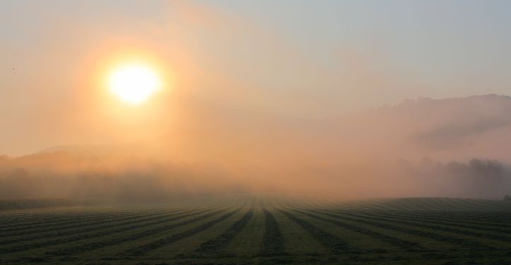 Morning fog