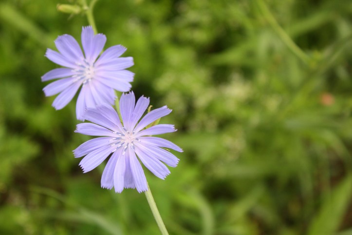 2013-07-19 19-41-53 1