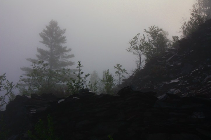quarry in fog