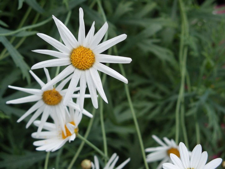 1-6-2006 11-22-19 PM_0056