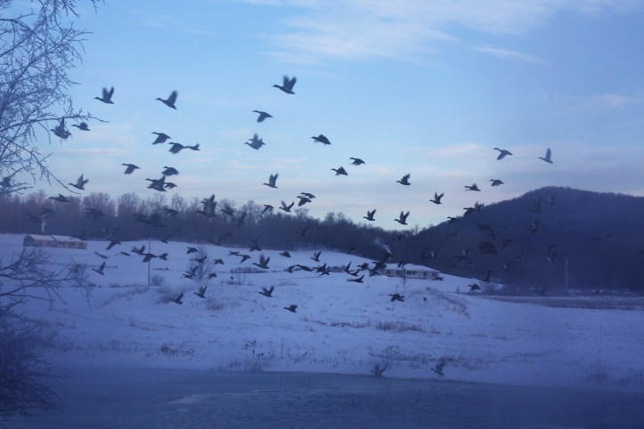 2013-12-16 21-16-10 (2)