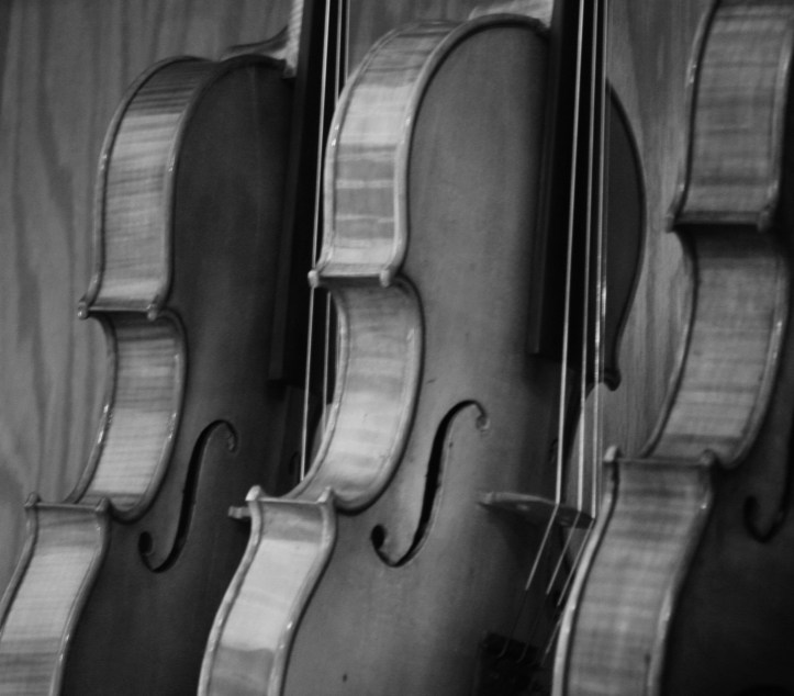 violins 4 B&W