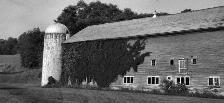 Barn SMALL