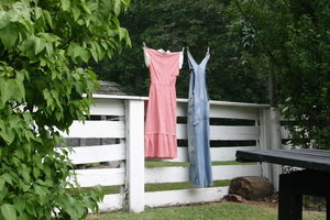 Peaks of Otter VA 2_resize