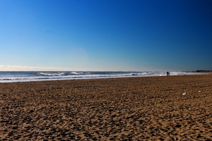 best-of-times_resize