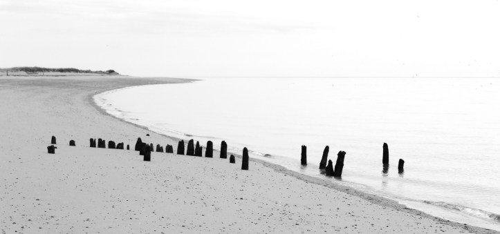 herring-run-beach-2-reimagined-bw