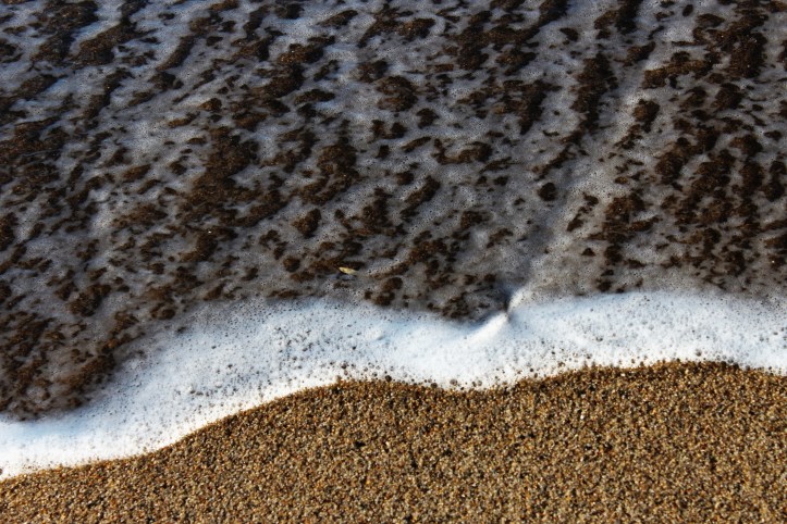 waterline-orleans-beach