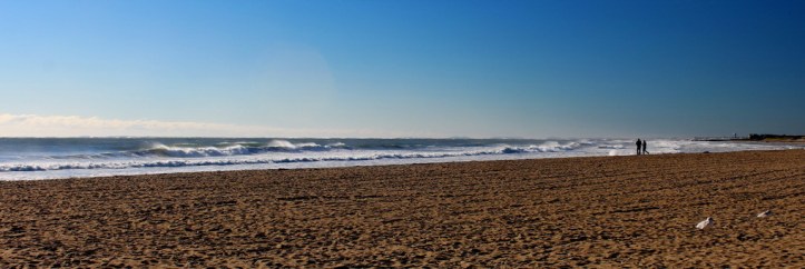 best-of-times_resize