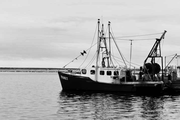 boat-bw
