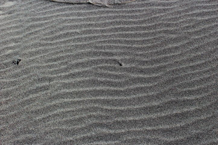 windy abstract in color