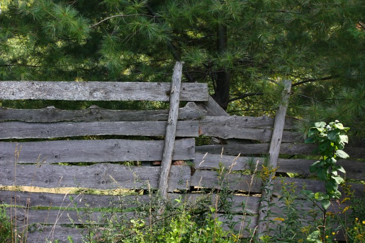 fence