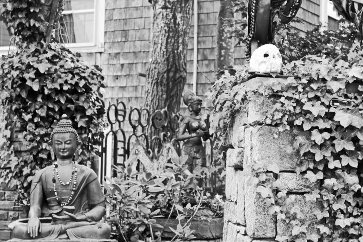 strangers garden.JPG