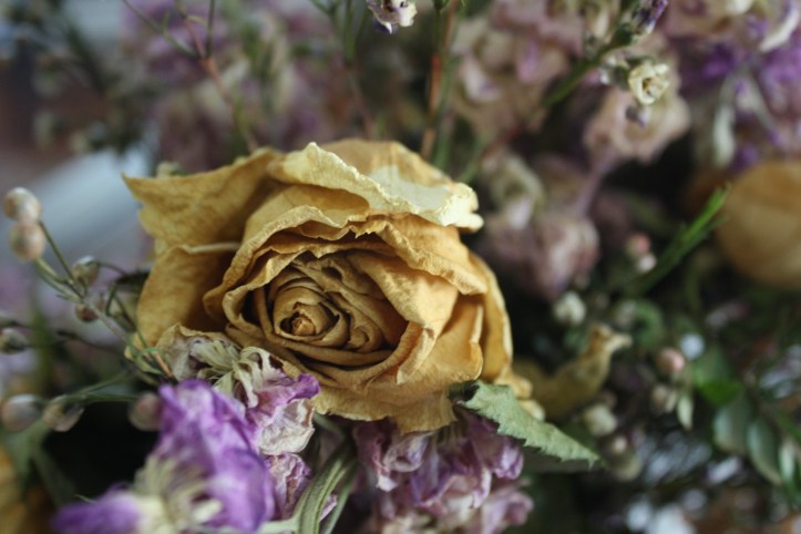 2013-09-19 02-10-18 (2).JPG