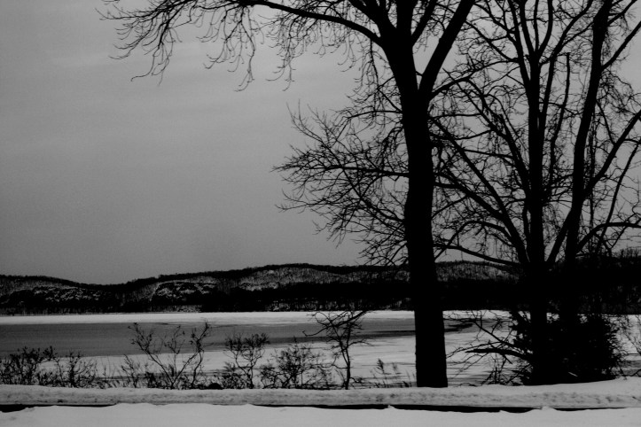 late afternoon 2.jpg