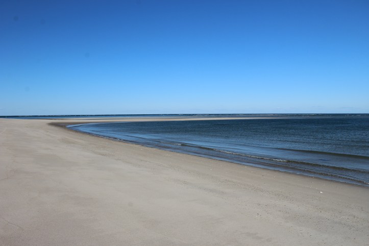 THe Edge of water.JPG