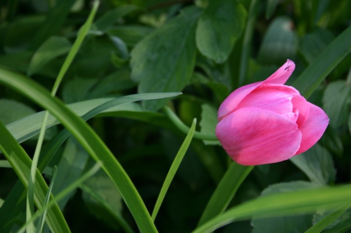 1-1-1980 12-05-02 AM_0148_resize.JPG