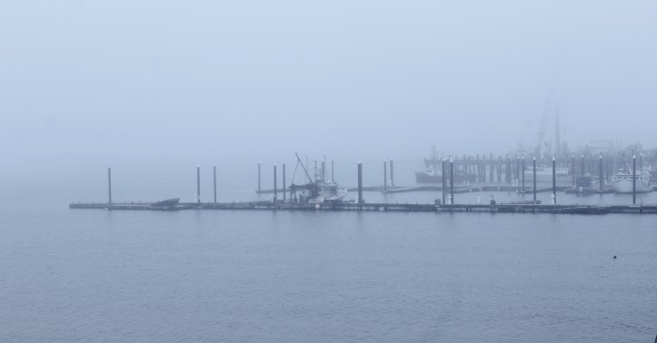 fog on the dock.JPG
