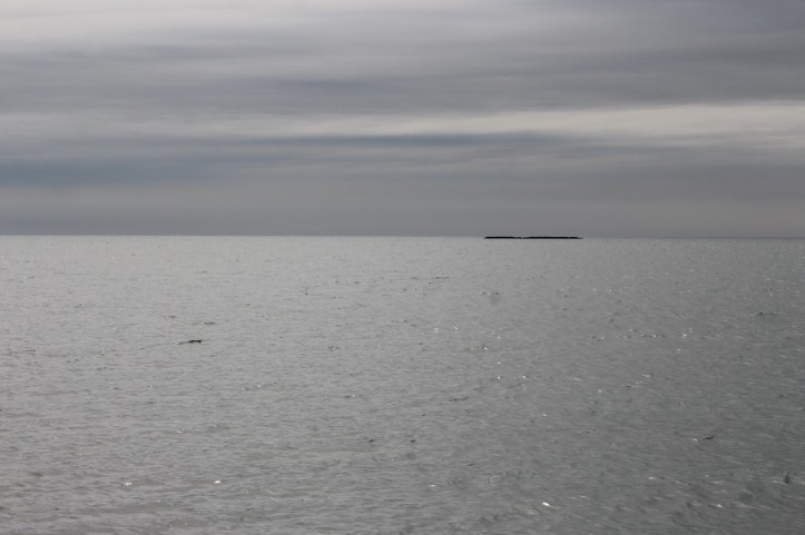 Shades of grey_resize