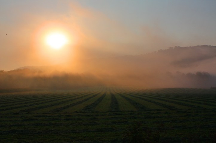 foggy fields_resize.JPG