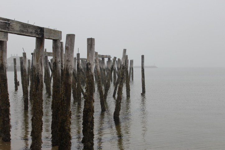 morning on the waterfront 2_resize.JPG