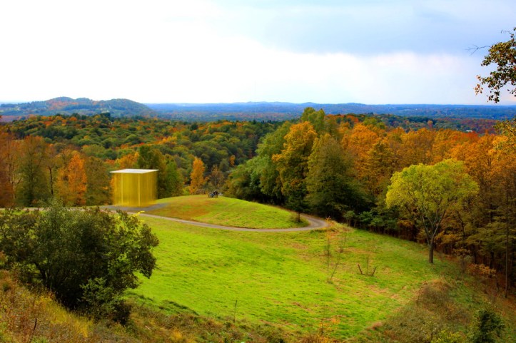 odd things resized.JPG