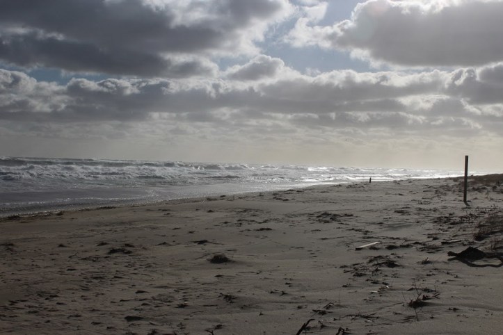 Provincetown beach_resize