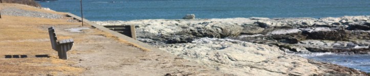 newport coastline 3.JPG
