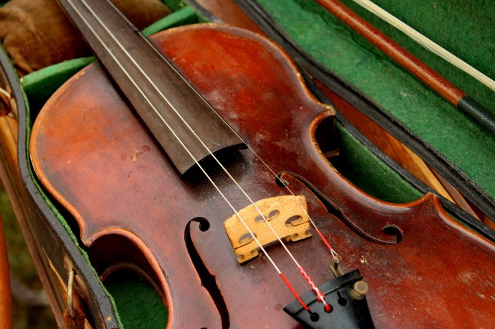 violin 2_resize